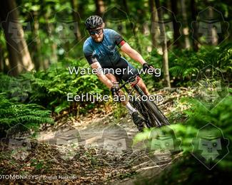 Bartje 200 photo