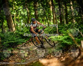 Bartje 200 photo