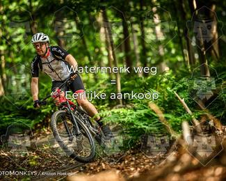 Bartje 200 photo