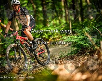 Bartje 200 photo