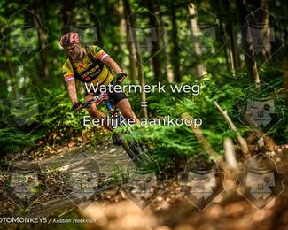 Bartje 200 photo