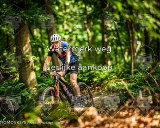 Bartje 200 photo