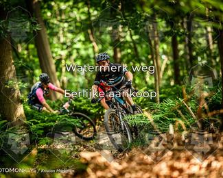 Bartje 200 photo