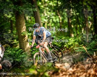 Bartje 200 photo