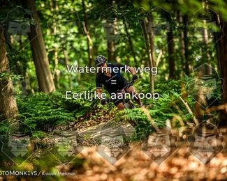 Bartje 200 photo