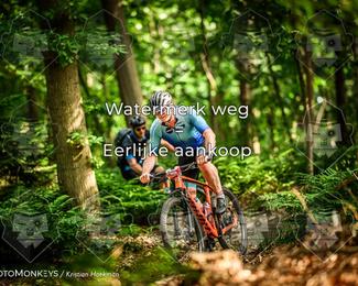 Bartje 200 photo