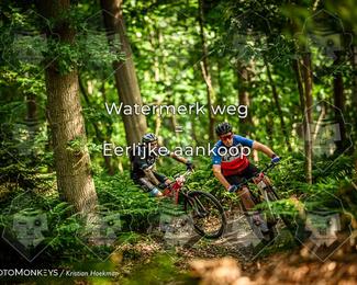 Bartje 200 photo
