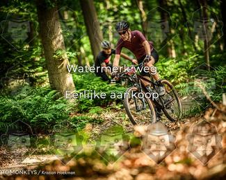 Bartje 200 photo