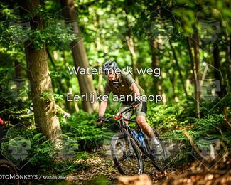 Bartje 200 photo