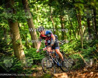 Bartje 200 photo