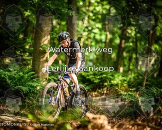 Bartje 200 photo