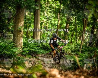 Bartje 200 photo