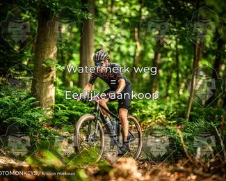 Bartje 200 photo