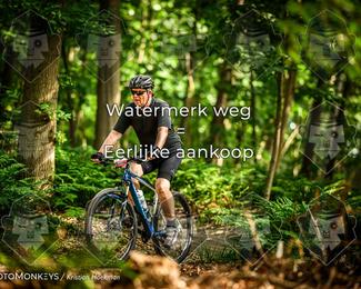Bartje 200 photo