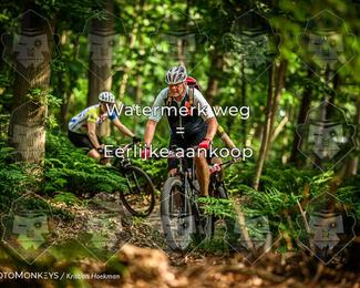 Bartje 200 photo