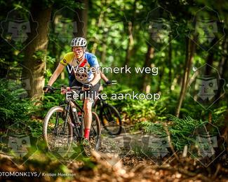 Bartje 200 photo