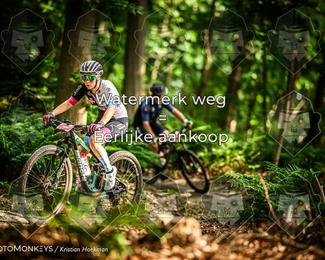 Bartje 200 photo