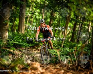Bartje 200 photo
