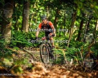 Bartje 200 photo