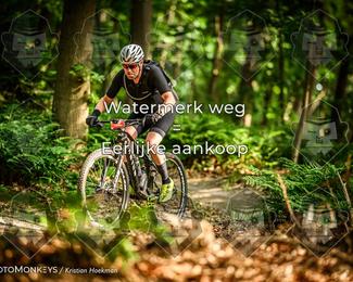 Bartje 200 photo