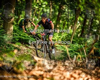 Bartje 200 photo