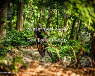 Bartje 200 photo