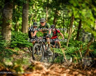 Bartje 200 photo