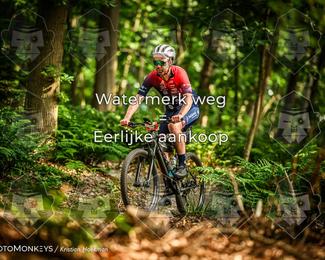 Bartje 200 photo