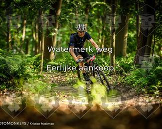 Bartje 200 photo