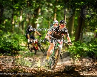 Bartje 200 photo