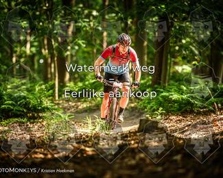Bartje 200 photo