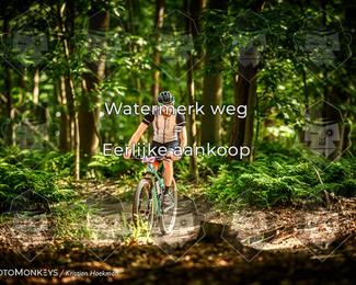Bartje 200 photo