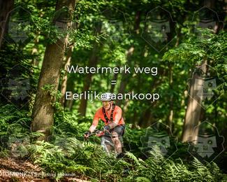 Bartje 200 photo