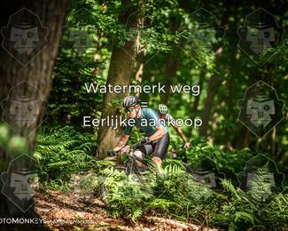 Bartje 200 photo