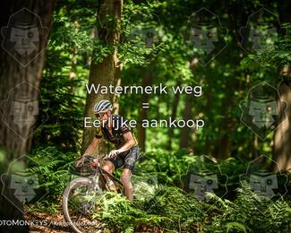 Bartje 200 photo