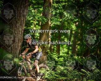 Bartje 200 photo