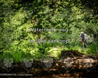 Bartje 200 photo