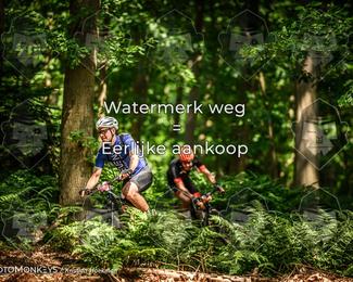 Bartje 200 photo