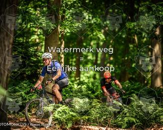 Bartje 200 photo