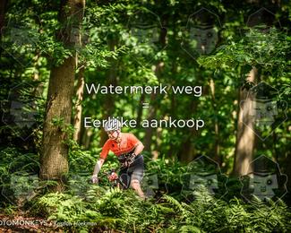 Bartje 200 photo