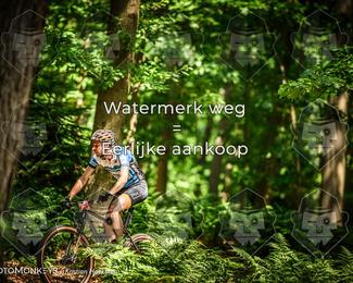 Bartje 200 photo