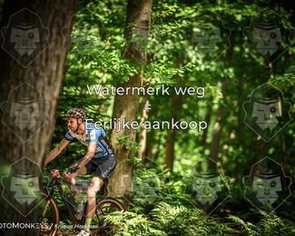 Bartje 200 photo