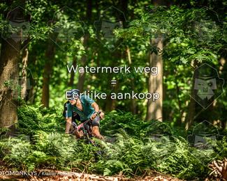 Bartje 200 photo