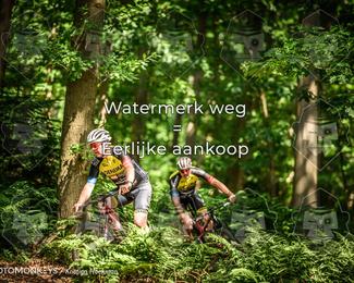Bartje 200 photo