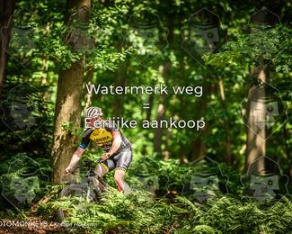 Bartje 200 photo