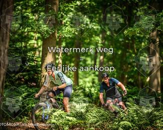 Bartje 200 photo