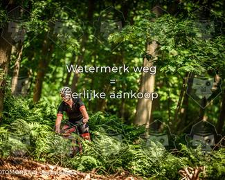 Bartje 200 photo