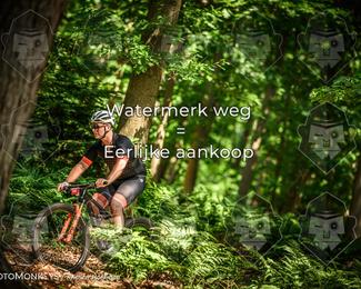 Bartje 200 photo