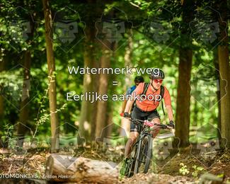 Bartje 200 photo