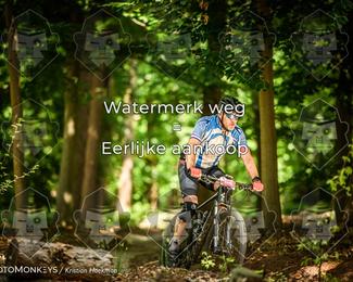Bartje 200 photo